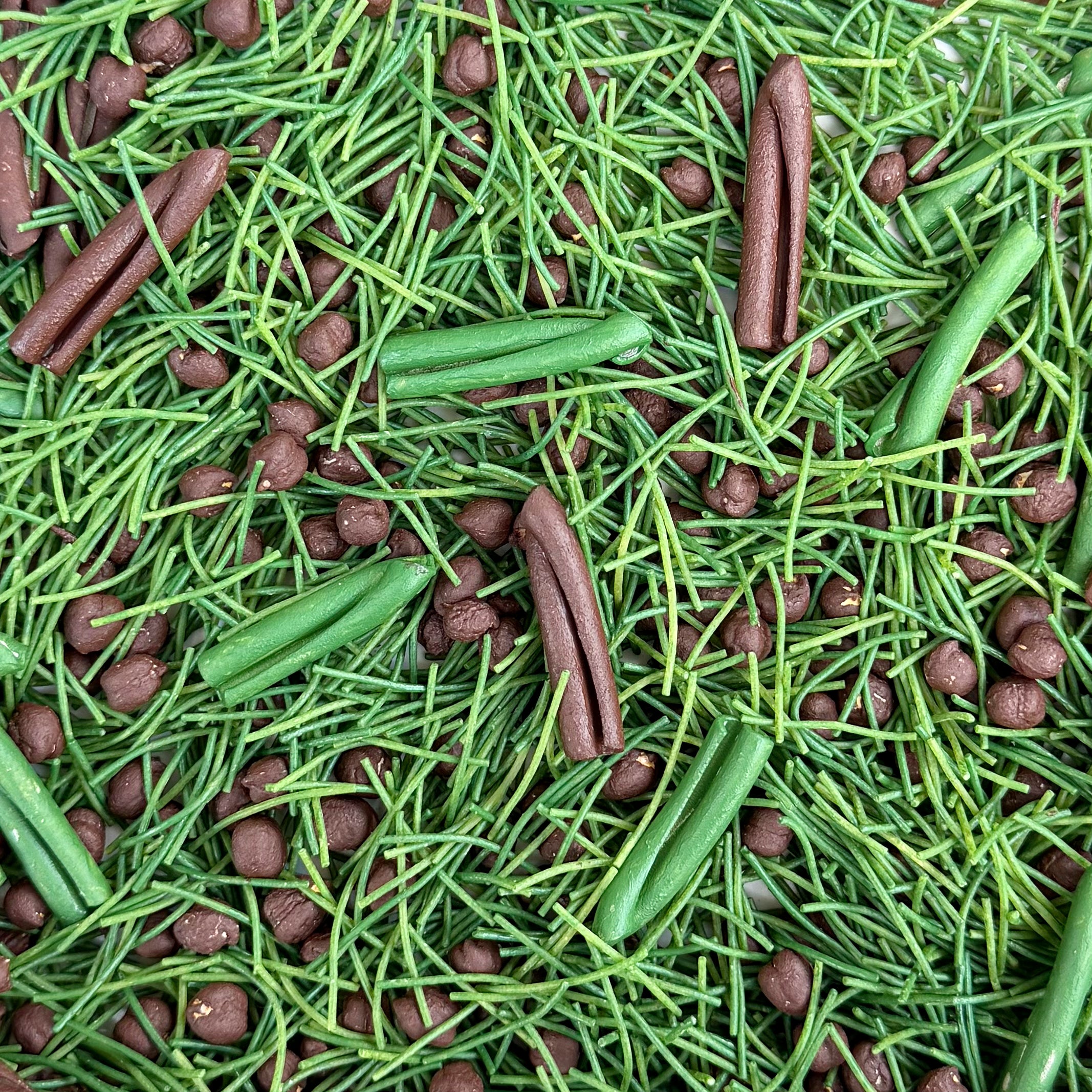 Prehistoric Dinosaur Kit